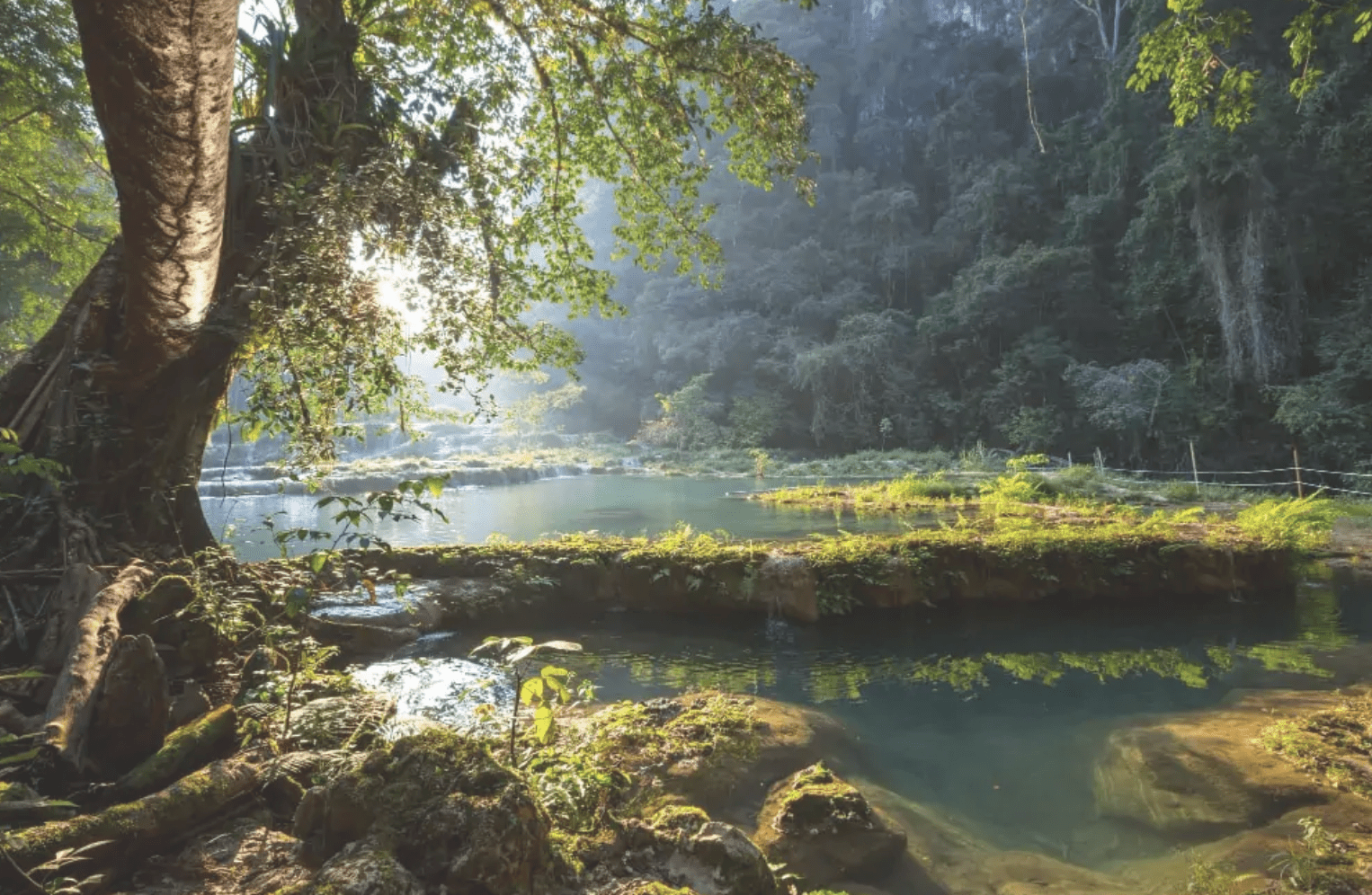 View of a river in Alta Verapaz.