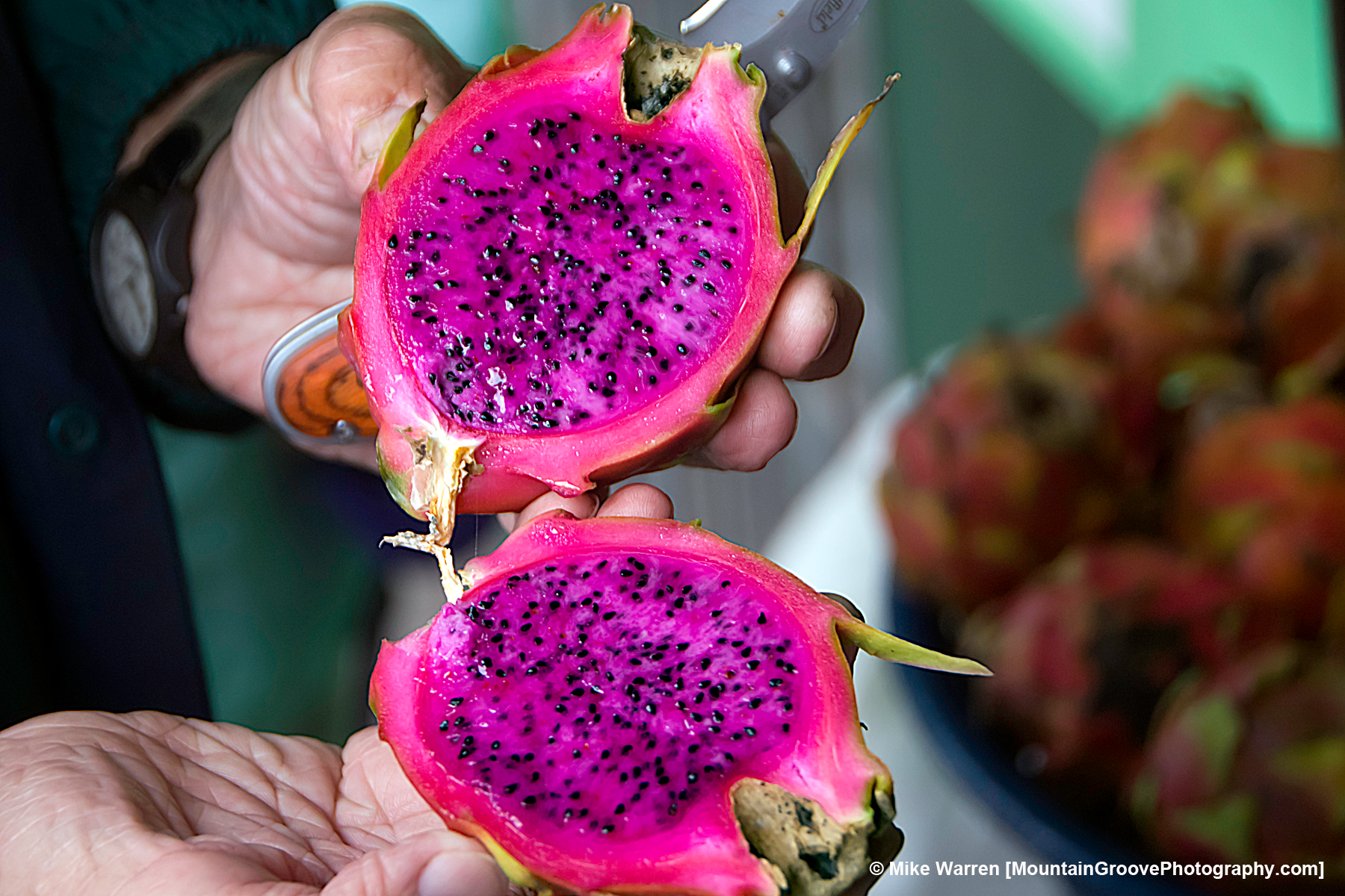 pink dragon fruit at the solola market